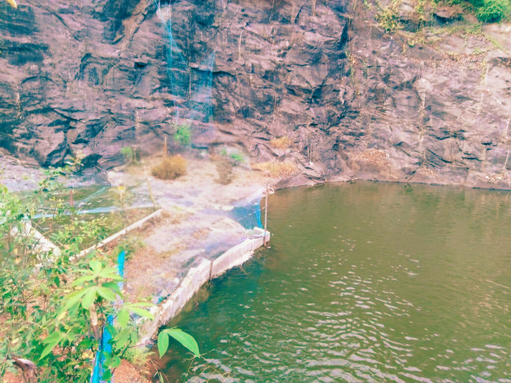 Mayiladumpara stream flowing through the estate
